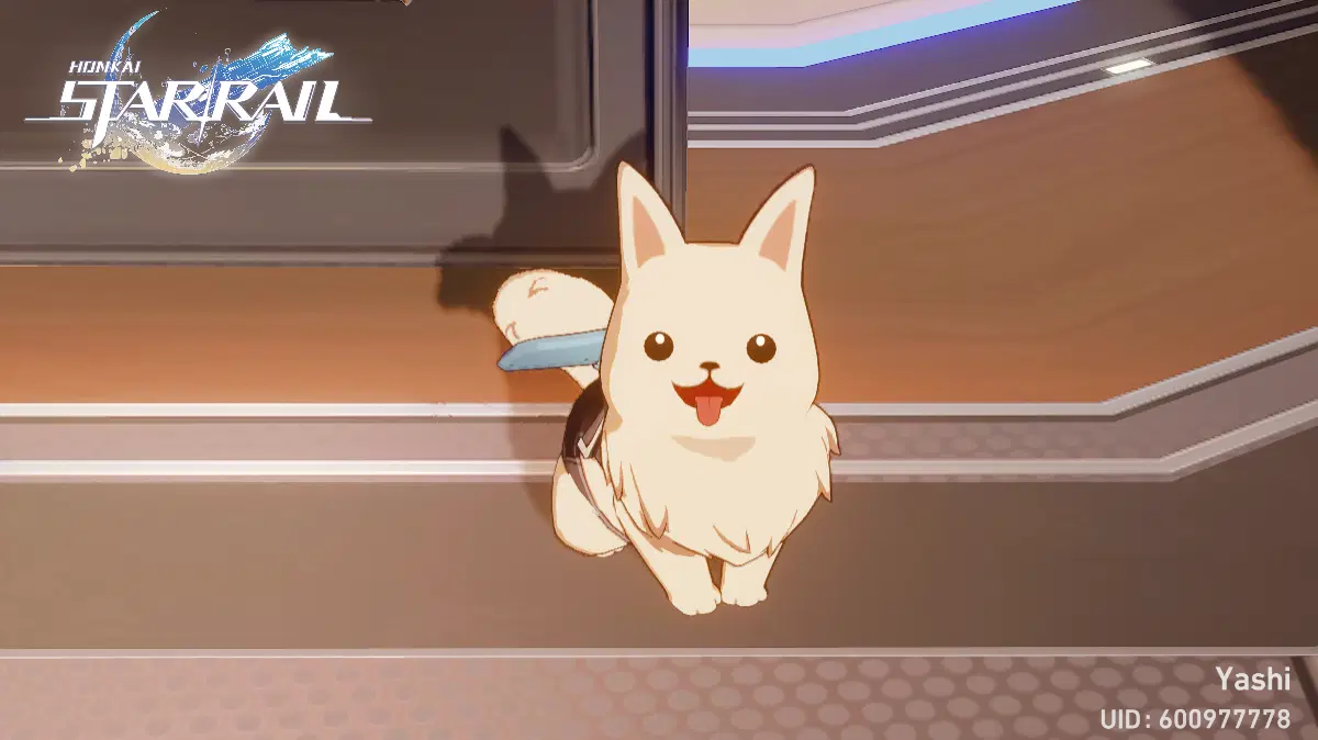 Honkai: Star Rail New Pet System Revealed!