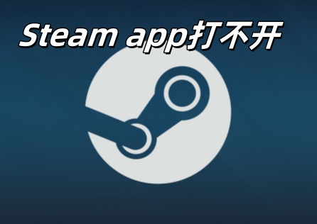 Steam app打不开怎么办？常见原因及解决方案！