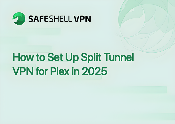 How to Set Up Split Tunnel VPN for Plex in 2025