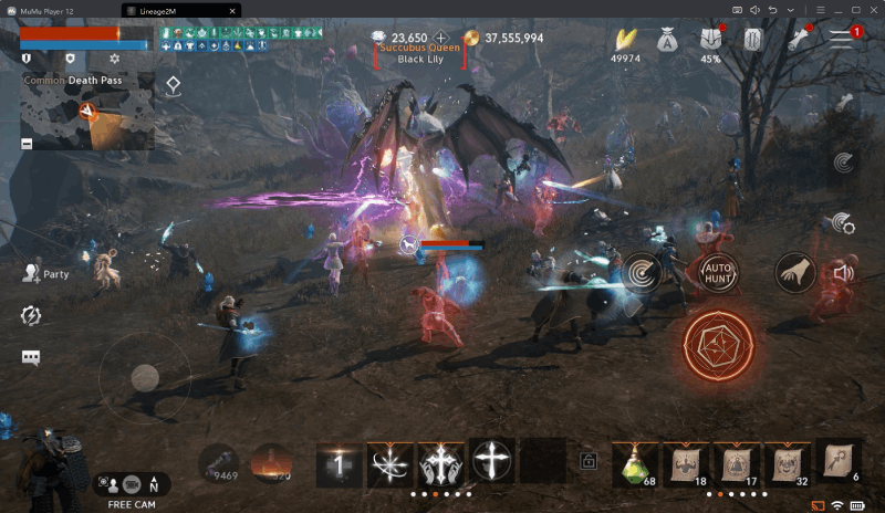 Lineage2M Interface