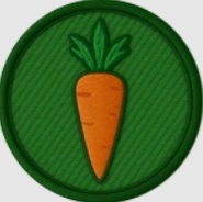 Roblox 99 Nights in the Forest Guide to All Badges and How to Unlock Them