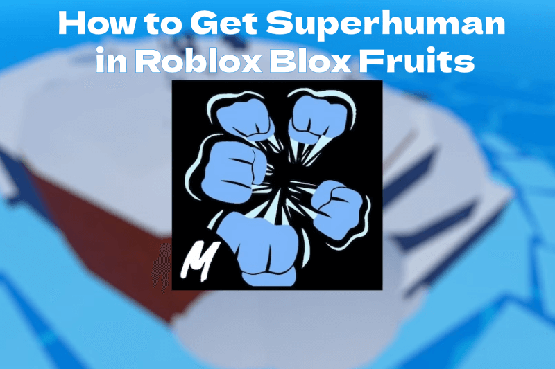 How to Get Superhuman in Roblox Blox Fruits