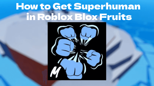 How to Get Superhuman in Roblox Blox Fruits