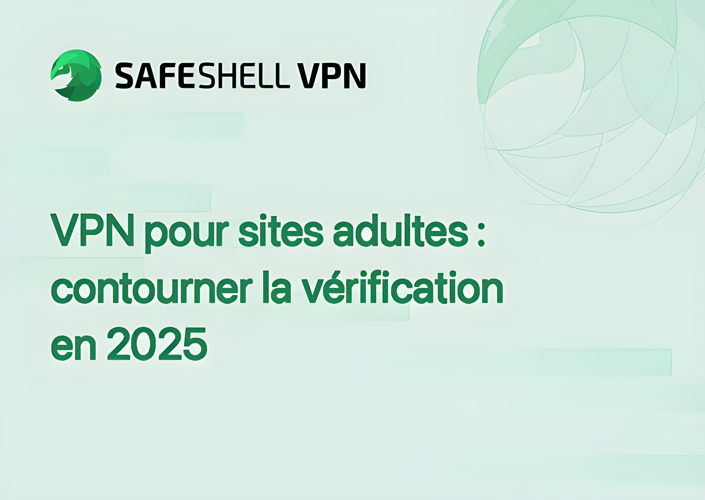 VPN pour sites adultes : contourner la vérification en 2025