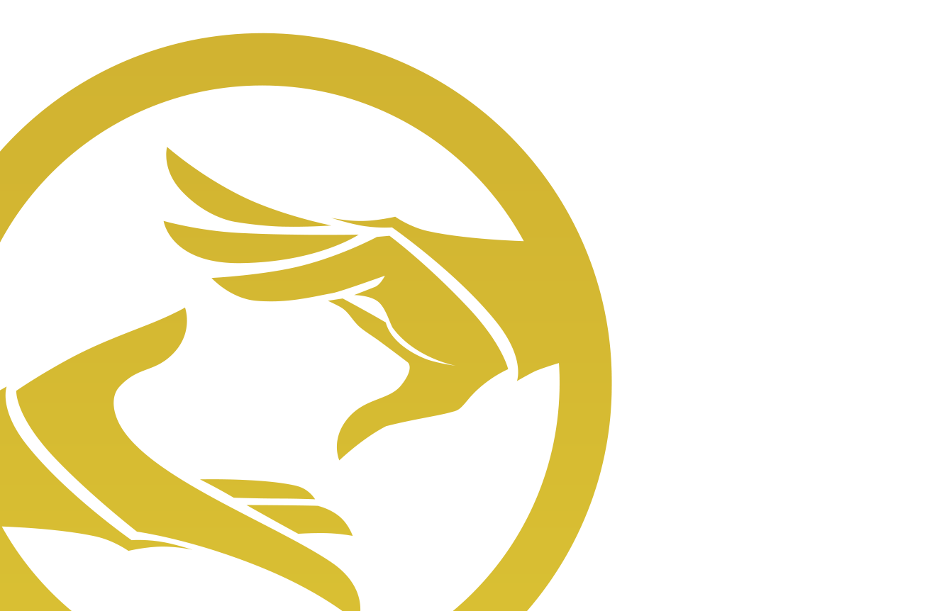 pc英雄首页图标