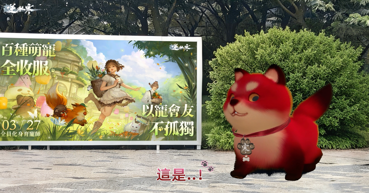 【血河小狗打工回憶錄】從爆料到道別🐾，回顧那些被本汪霸佔的點點滴滴！