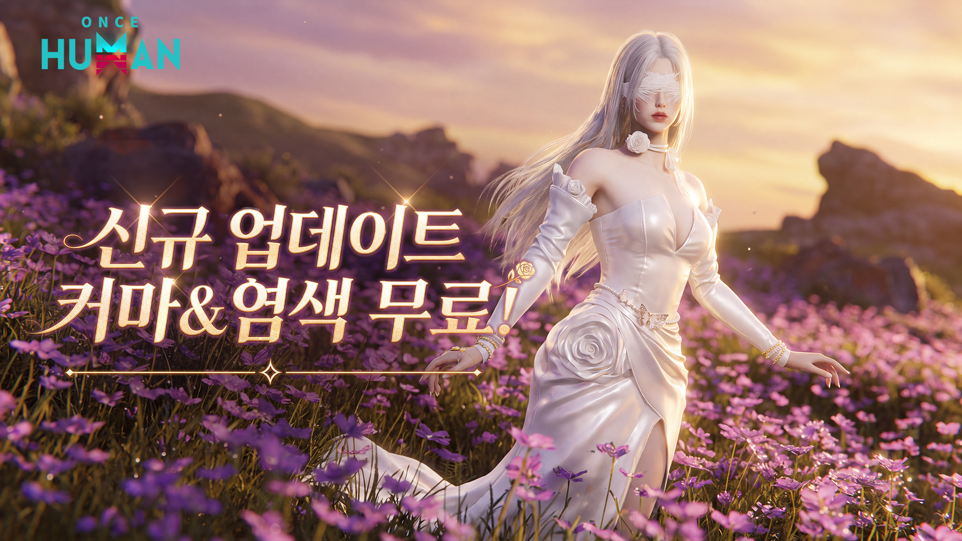 개발자 노트丨커스터마이징, 헤어 염색 무료!